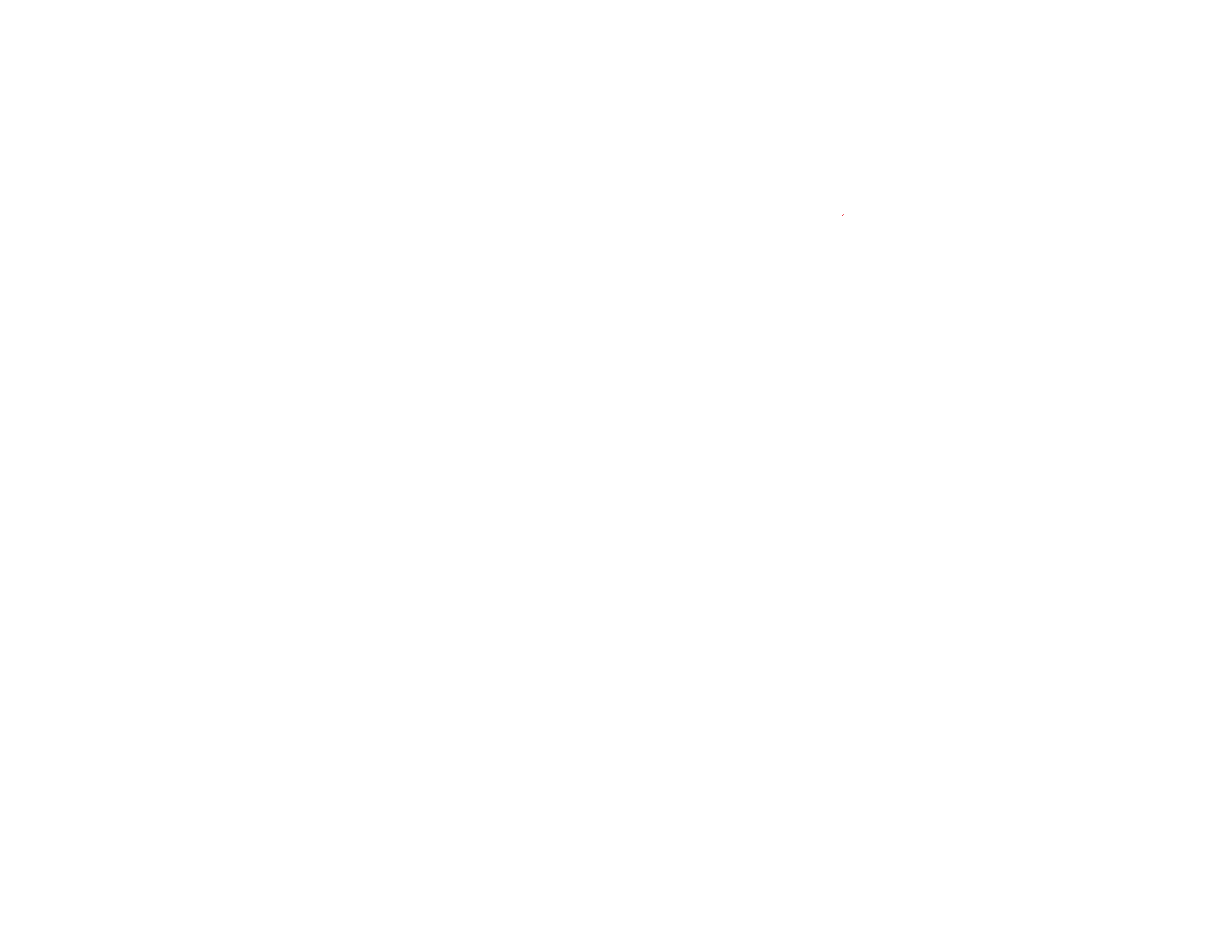 FestCup