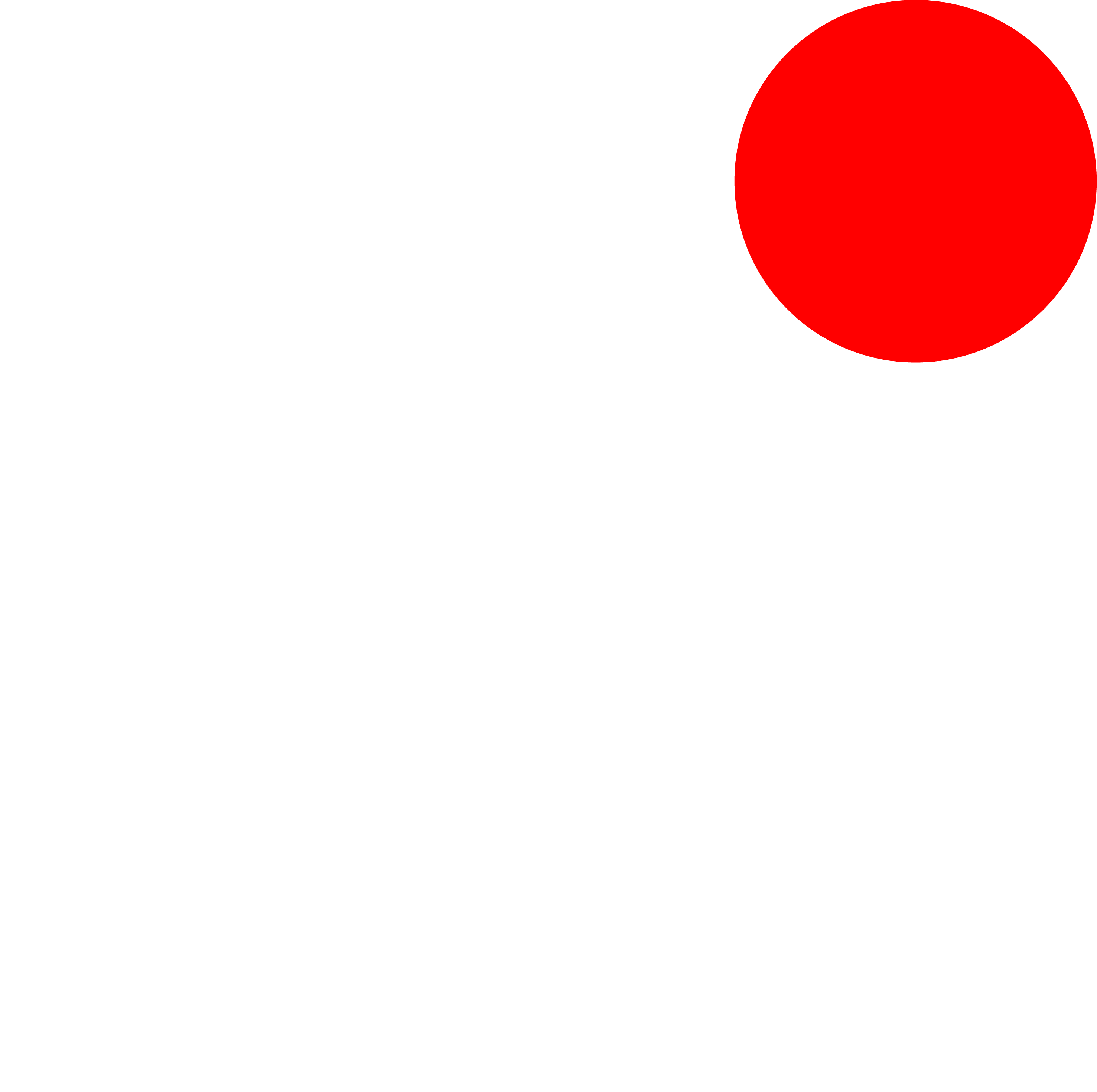 Digital Iris Logo